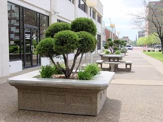 Concrete Planter