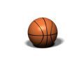 Basketball Bollards