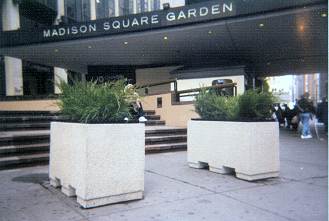 Square Concrete Planters