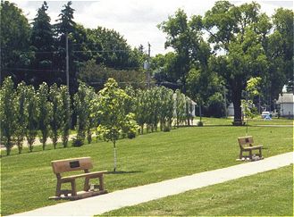 Concrete Park Bench