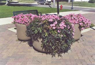 Round Concrete Planters